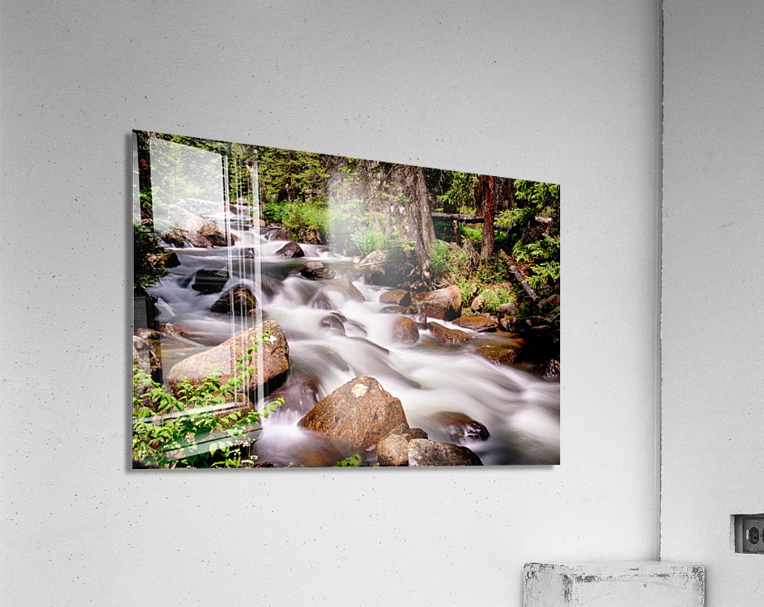 Cascading Rocky Mountain Forest Creek Acrylic Print