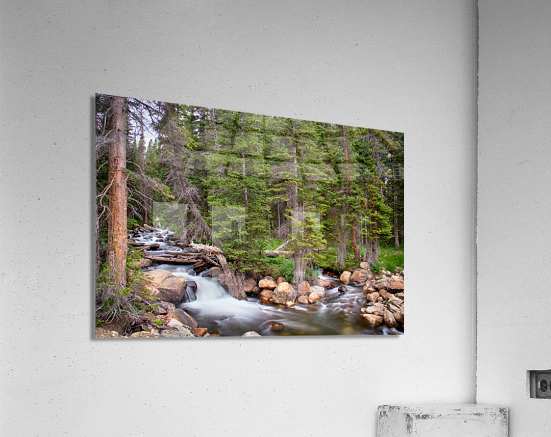 Colorado Rocky Mountain Forest Stream  Acrylic Print 