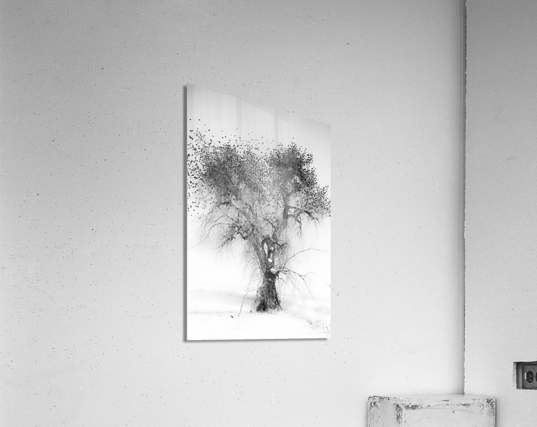 Treefull  Impression acrylique 