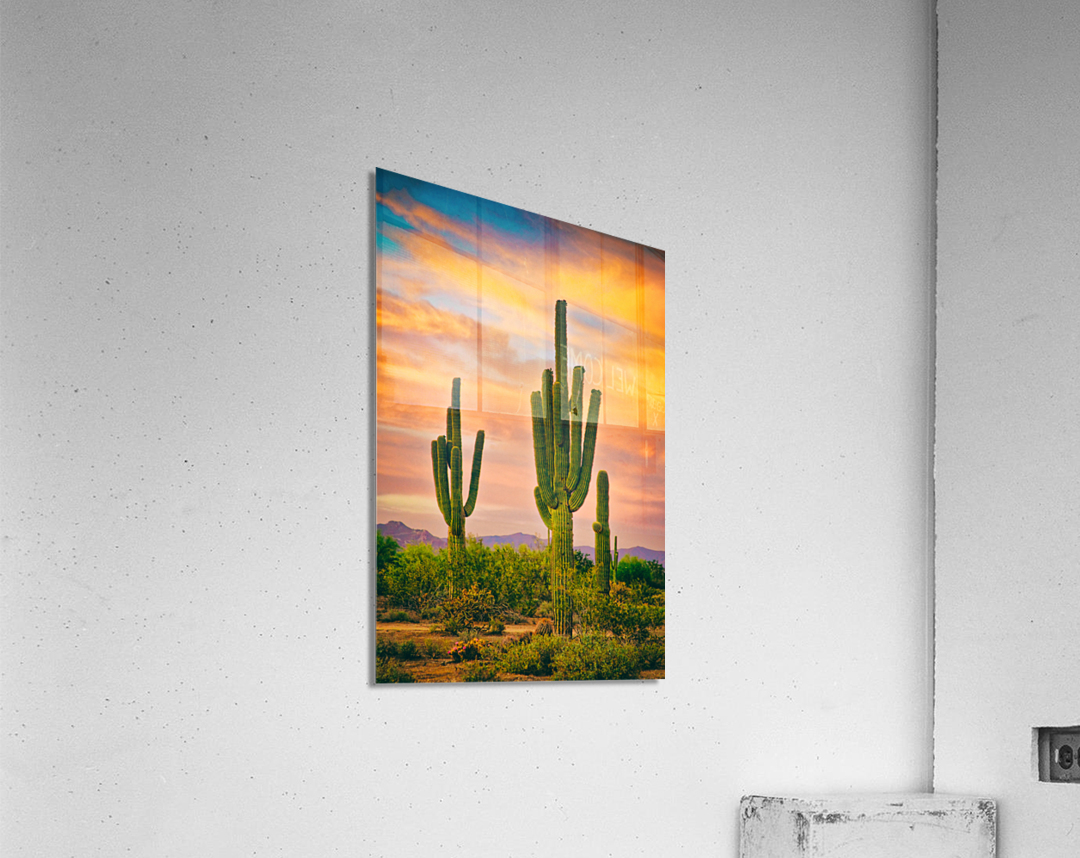 Arizona Life  Acrylic Print 