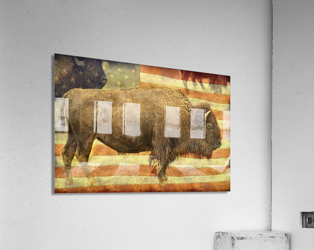 American Buffalo  Acrylic Print 