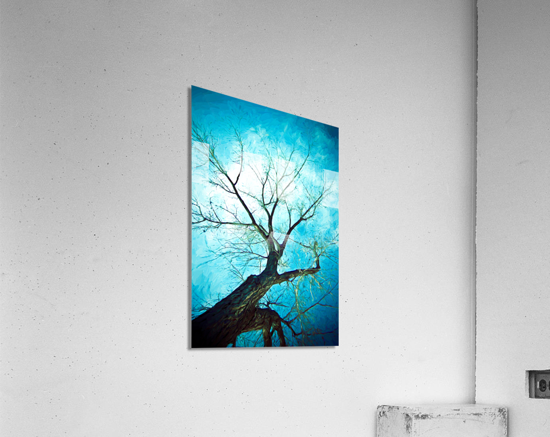 winter tree blue  Impression acrylique 