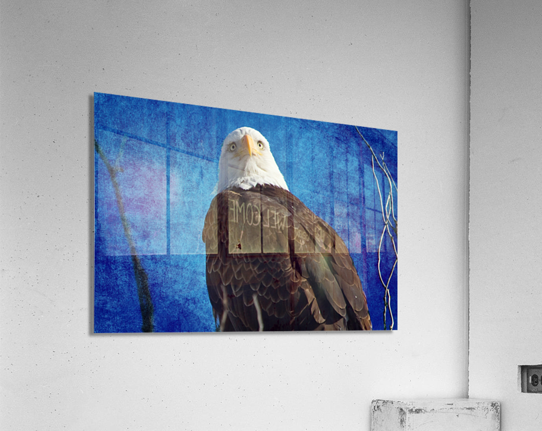 American Bald Eagle Blues Acrylic Print