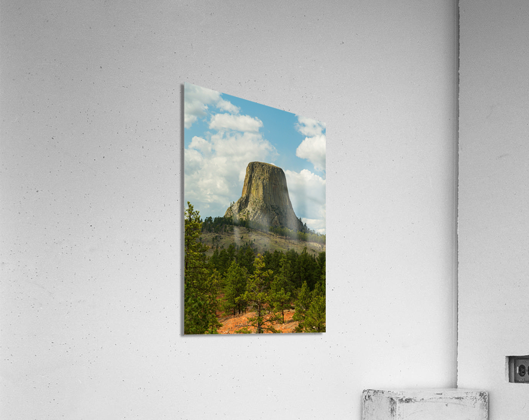 Majestic Devils Tower in Wyoming Surrounded by Pine Forest  Acrylic Print 
