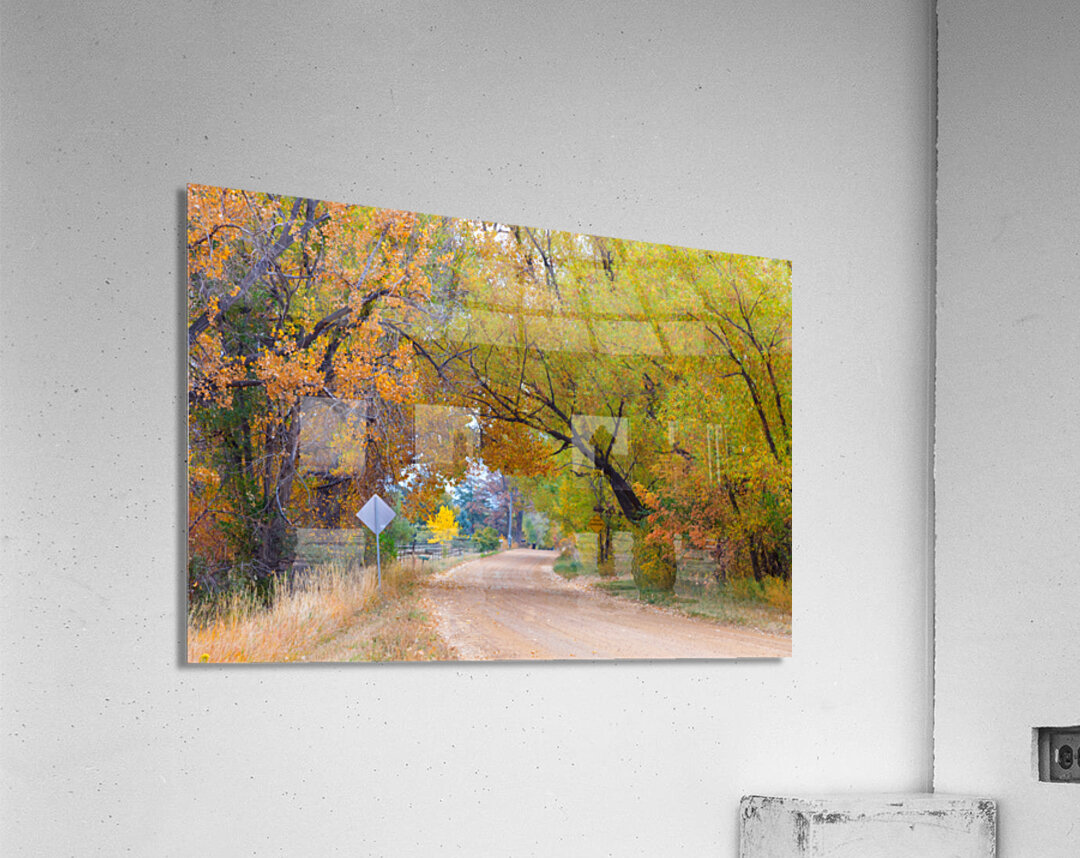 Autumns Enchantment - The Country Road Canopy Acrylic Print