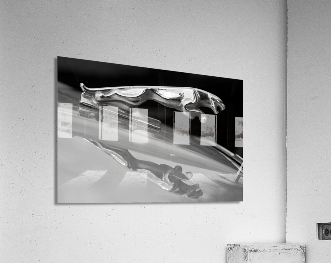 Jaguar Car Hood Ornament Reflection BW Acrylic Print