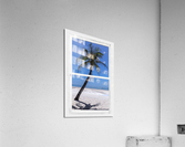 Palm Tree Tropical Window View  Acrylic Print