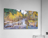 Colorado Autumn Creek Happy Place Panoramic  Acrylic Print