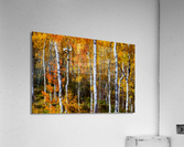 Forest Color Burst  Impression acrylique