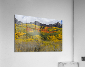 Colorado Kebler Pass Fall Foliage  Acrylic Print