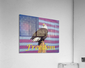 American Freedom  Impression acrylique