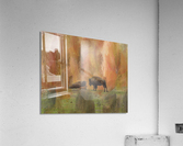 Buffalo Calf Tender Moment  Acrylic Print