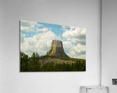 Majestic Devils Tower in Wyoming Amidst Pine Forest  Acrylic Print