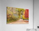 Autumns Country Retreat - A Canopy of Color  Acrylic Print