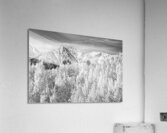 Colorado Rocky Mountain Autumn Beauty Black and White  Acrylic Print