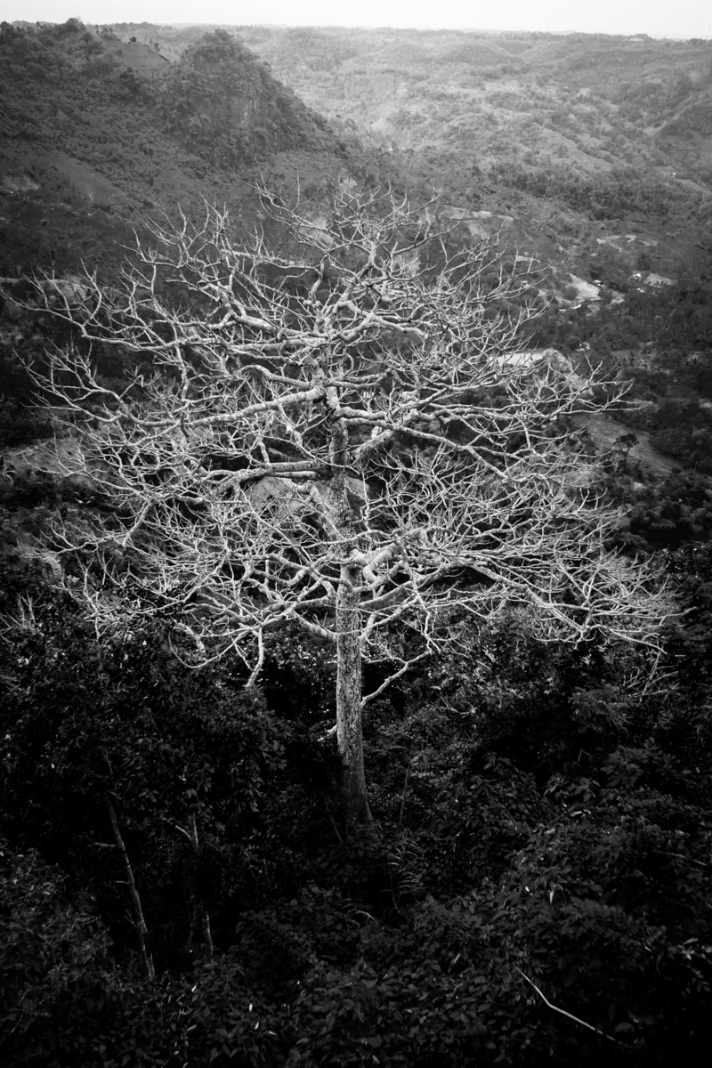 Impression de cadre personnalisé