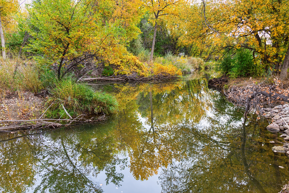 Impression de cadre personnalisé