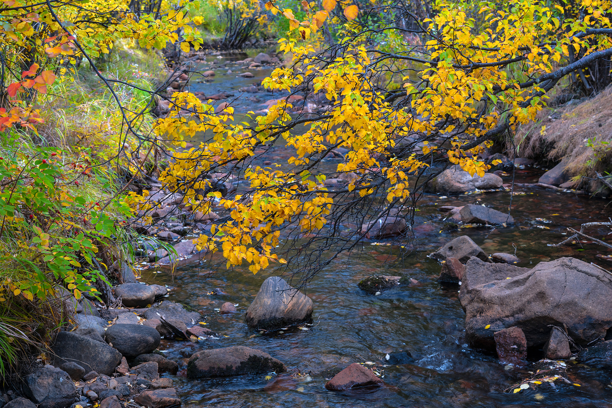 Impression de cadre personnalisé