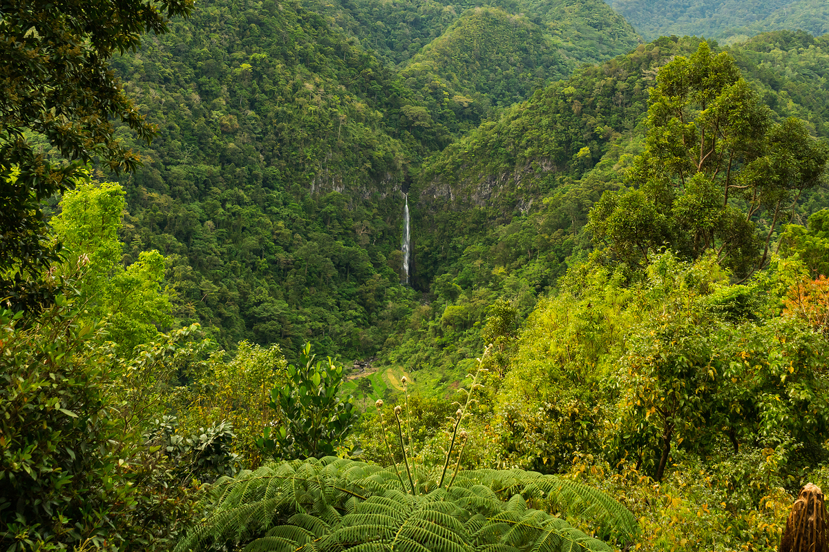 Impression de cadre personnalisé