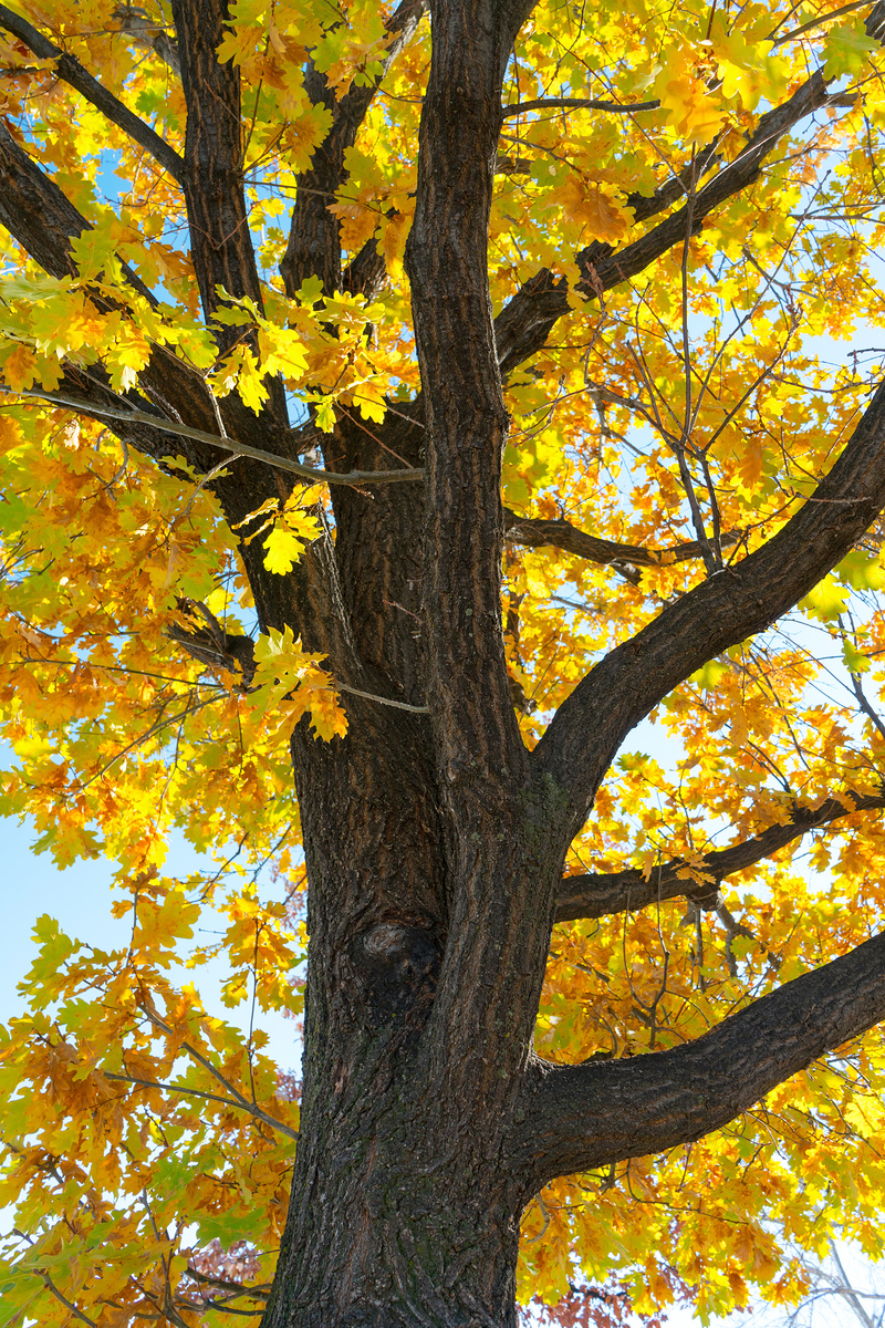 Impression de cadre personnalisé