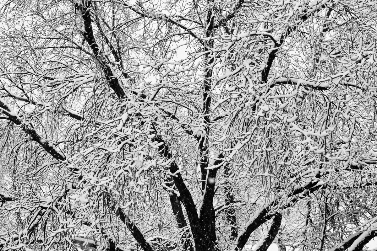 Impression de cadre personnalisé