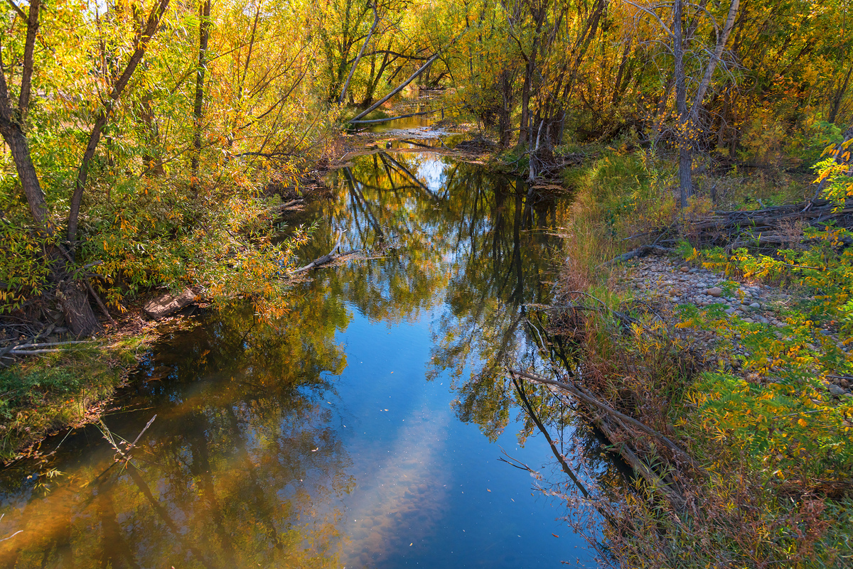 Impression de cadre personnalisé