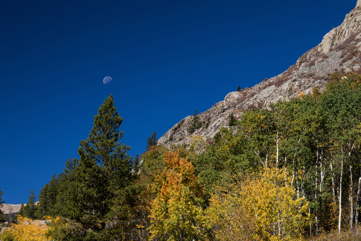 Impression de cadre personnalisé