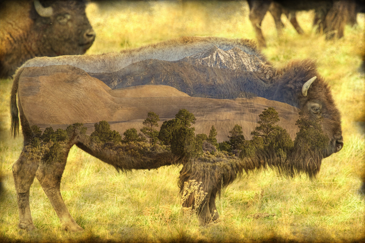 Impression de cadre personnalisé