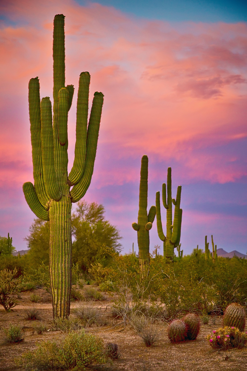 Impression de cadre personnalisé
