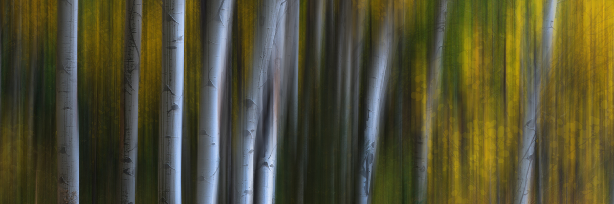 Impression de cadre personnalisé