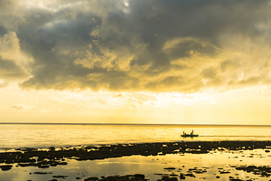 Golden Horizons Drift with the Tide