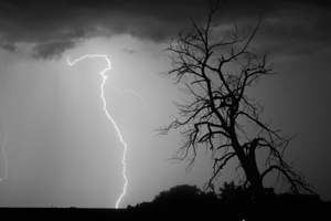 Lightning Strikes the Twisted Sentinel Tree