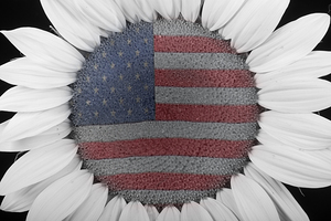 American Sunflower Power