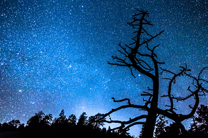 Starry Night at Bryce Canyon