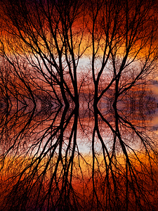 Sunset Tree Silhouette Abstract 2