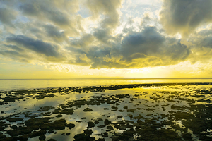 Where the Sky Meets the Tides
