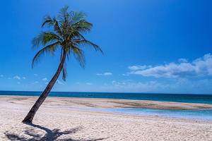 Tropical Blue Skies And White Sand Beaches