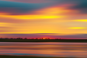 Abstract Sunset Over a Tree Line