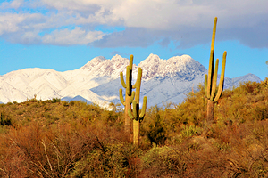 Four Peaks Arizona Desert Landscape