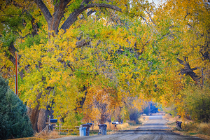 Awesome Country Road