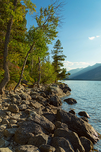 Jenny Lake Rocky Shoreline Grand Teton National Park Fine Art Print