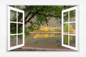 Autumn Season Lakeside  Open White View