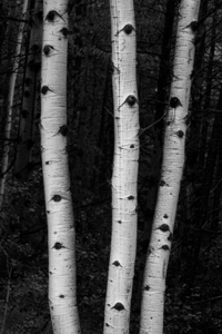 Coming Out Of Darkness