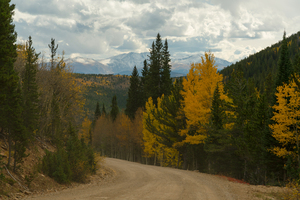 Dirt Road Paradise Cruising
