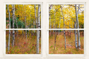 Happy Forest  Autumn Season Rustic Window View