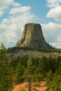 Majestic Devils Tower in Wyoming Surrounded by Pine Forest