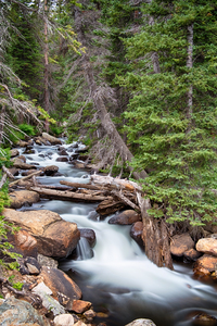 Rocky Mountain Stream