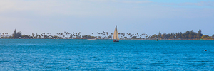 Tropical Sailing Panoramic