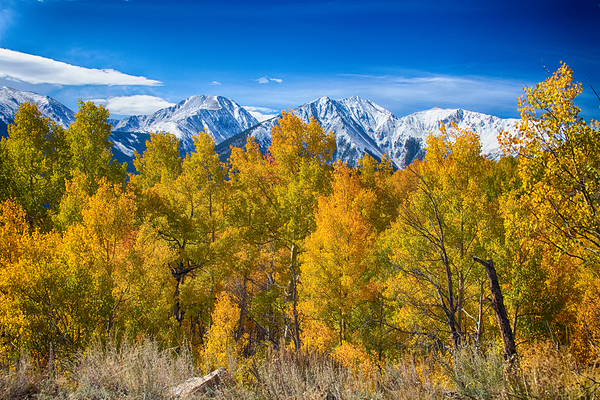 Independence Pass Autumn View Print