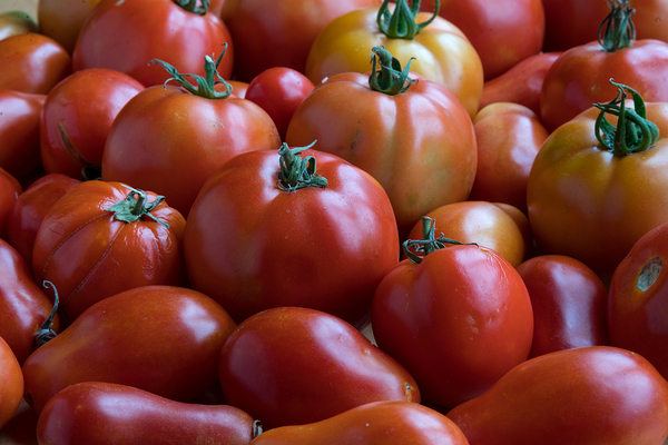 Roma Super Fantastic Tomatoes Fine Art Photography Wall Art Print